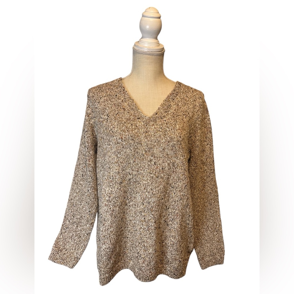 NWT J.Jill Cream and Brown V-Neck Sweater